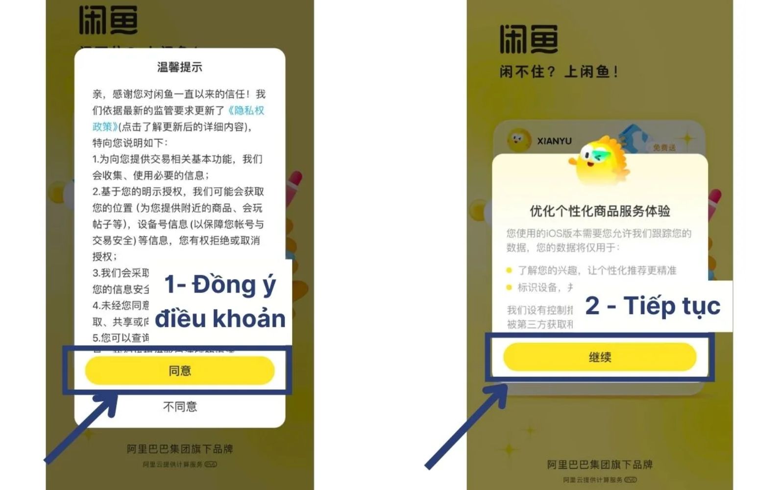 Mở app và đồng ý với các điều khoản
