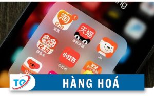 Hàng Hoá