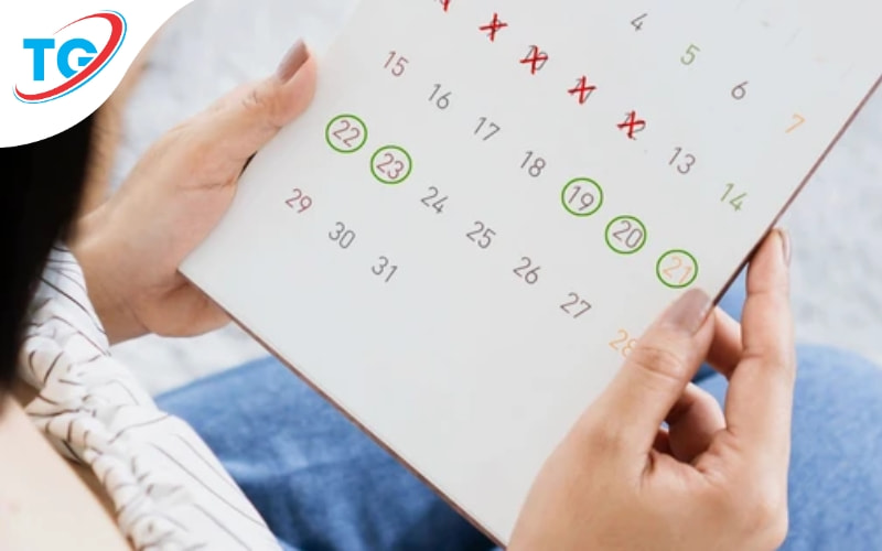 Chọn đúng thời điểm nhập hàng để hạn chế rủi ro và mua được hàng “tươi mới” hơn